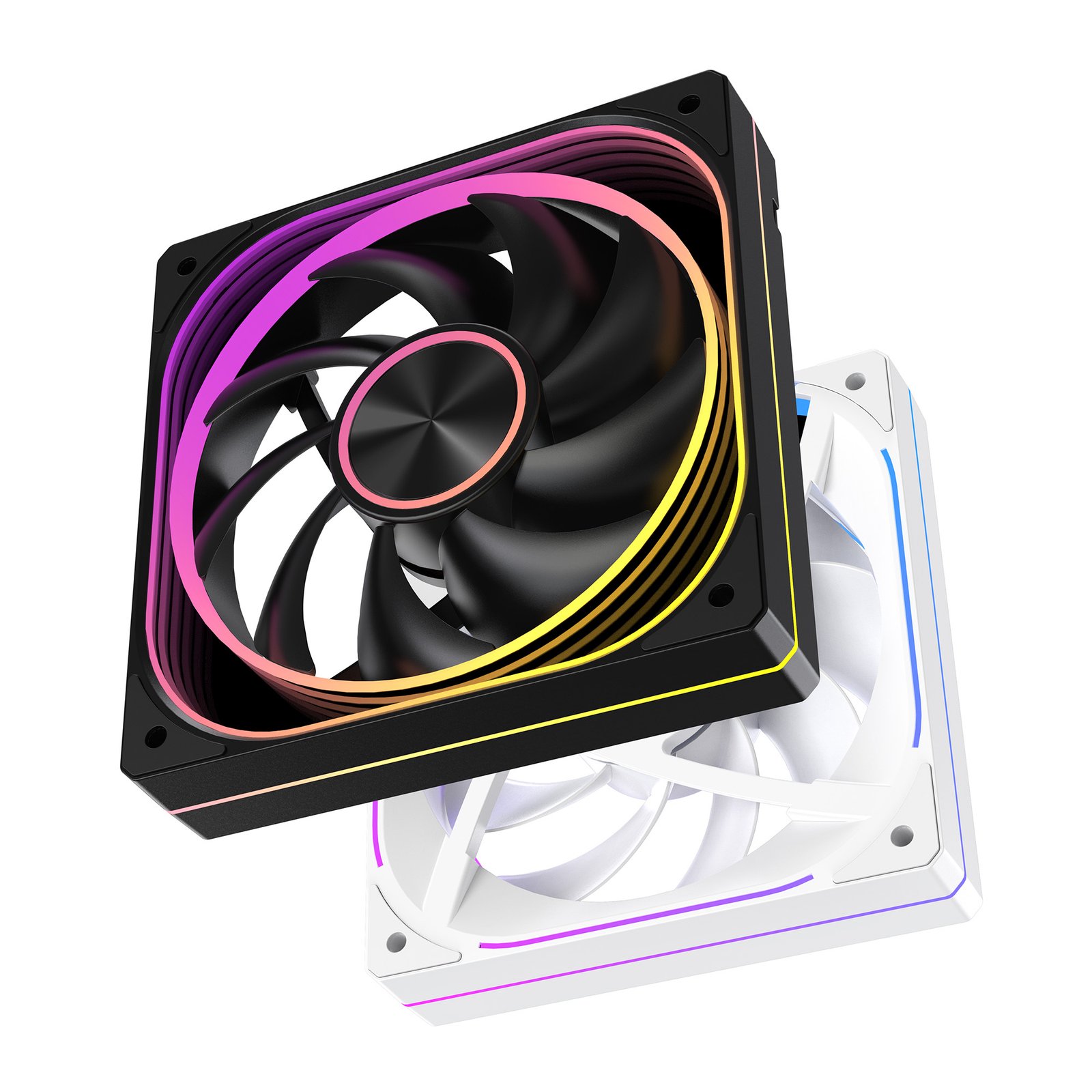 Q08 - Image 3